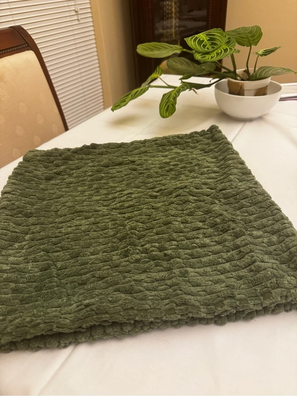 Plush Textured Green Throw Pillow - Set of 2